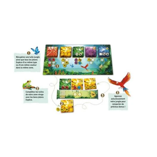 Rainforest – Image 2