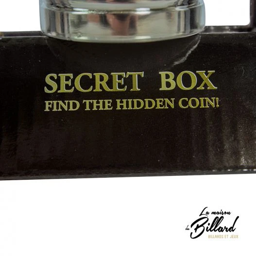 Casse-tête Métal, Collection Echecs : Le Trésor Du Roi – Image 4