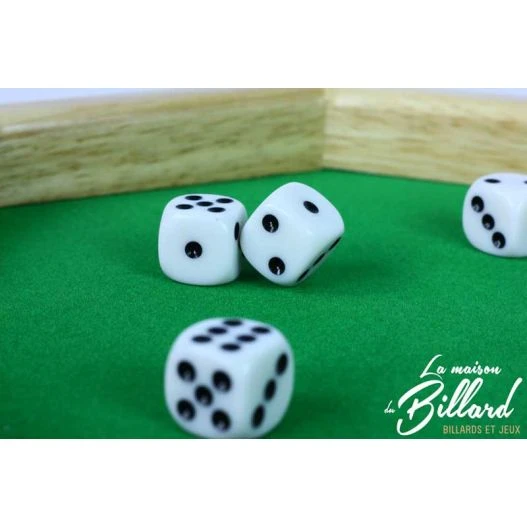 Piste De DĂ©s Petit Prix â Image 2